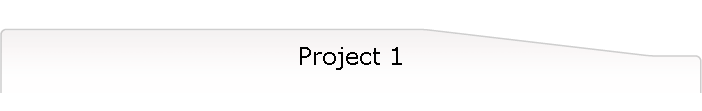 Project 1