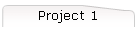 Project 1