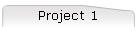 Project 1