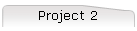 Project 2