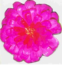 neonflower.jpg (16504 bytes)