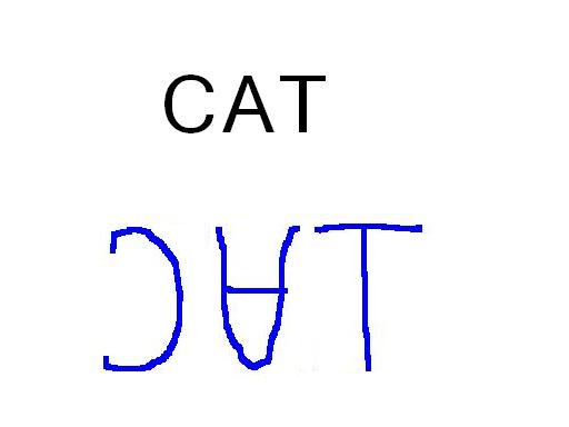 cat written inverted